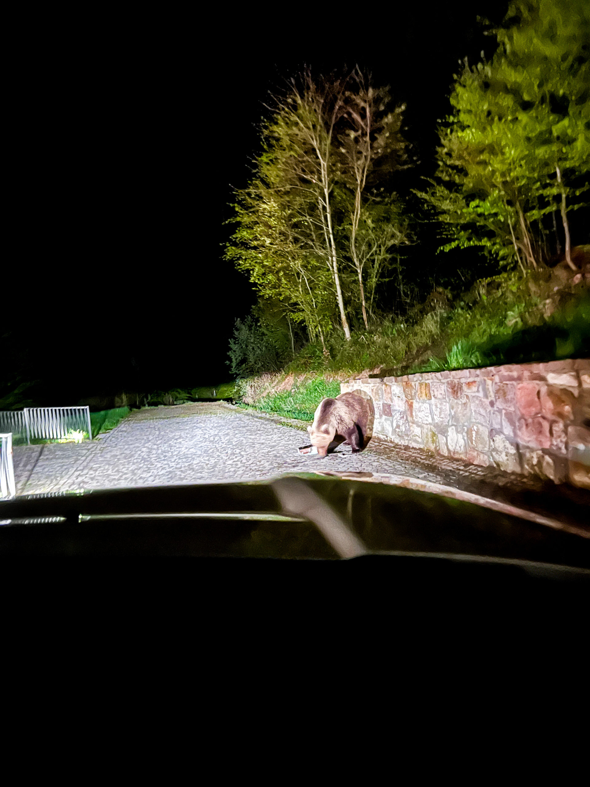 CD0454C5-7077-406A-9554-66788F520643