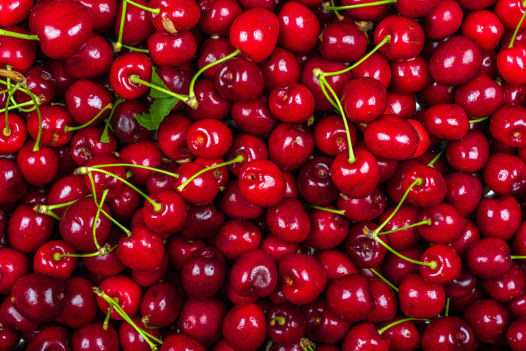 Untitled design (12)