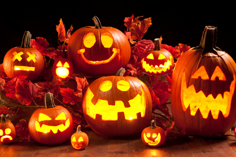 Activități de Halloween