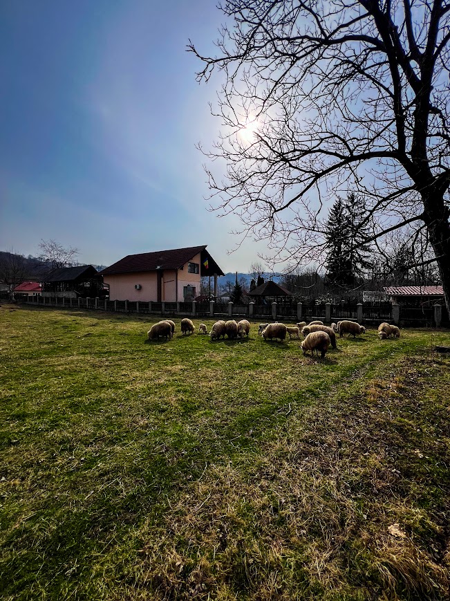 6412E6B0-B0D0-4B0A-8D99-5E2FDC366240