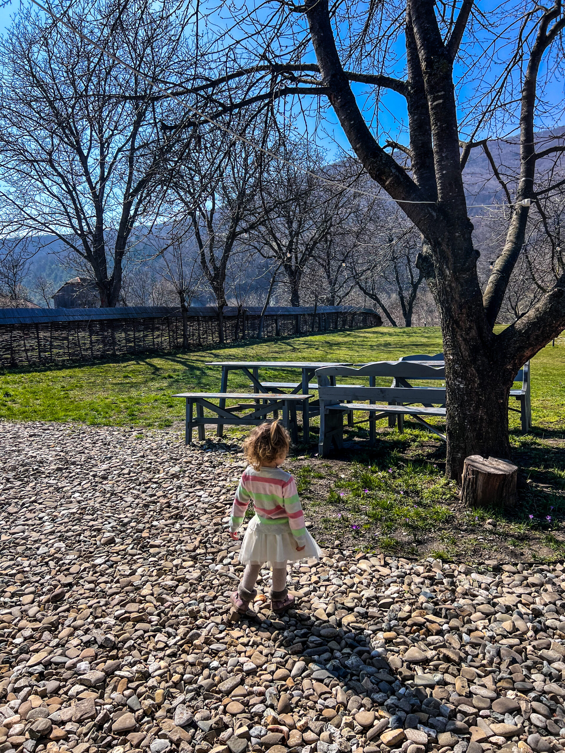 C6856768-14B6-49BB-A3DD-034E62FC858A