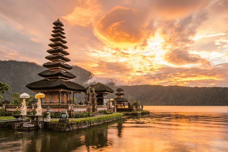 Untitled design (74)