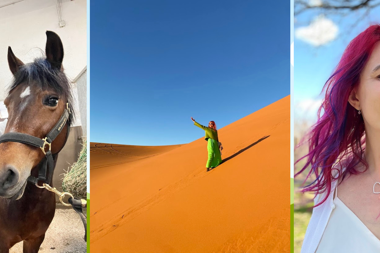 Untitled design (78)