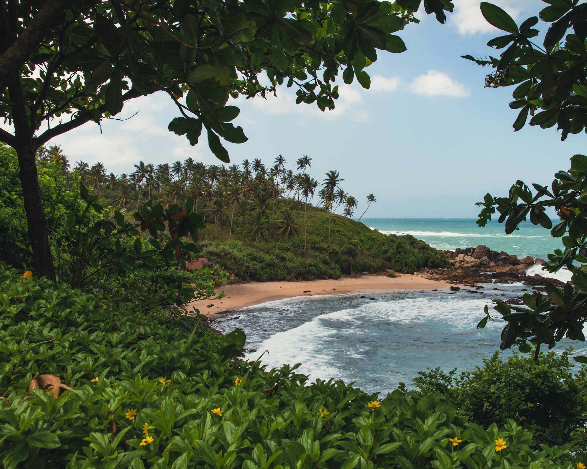 mariam-g-epED8MPIJM8-unsplash