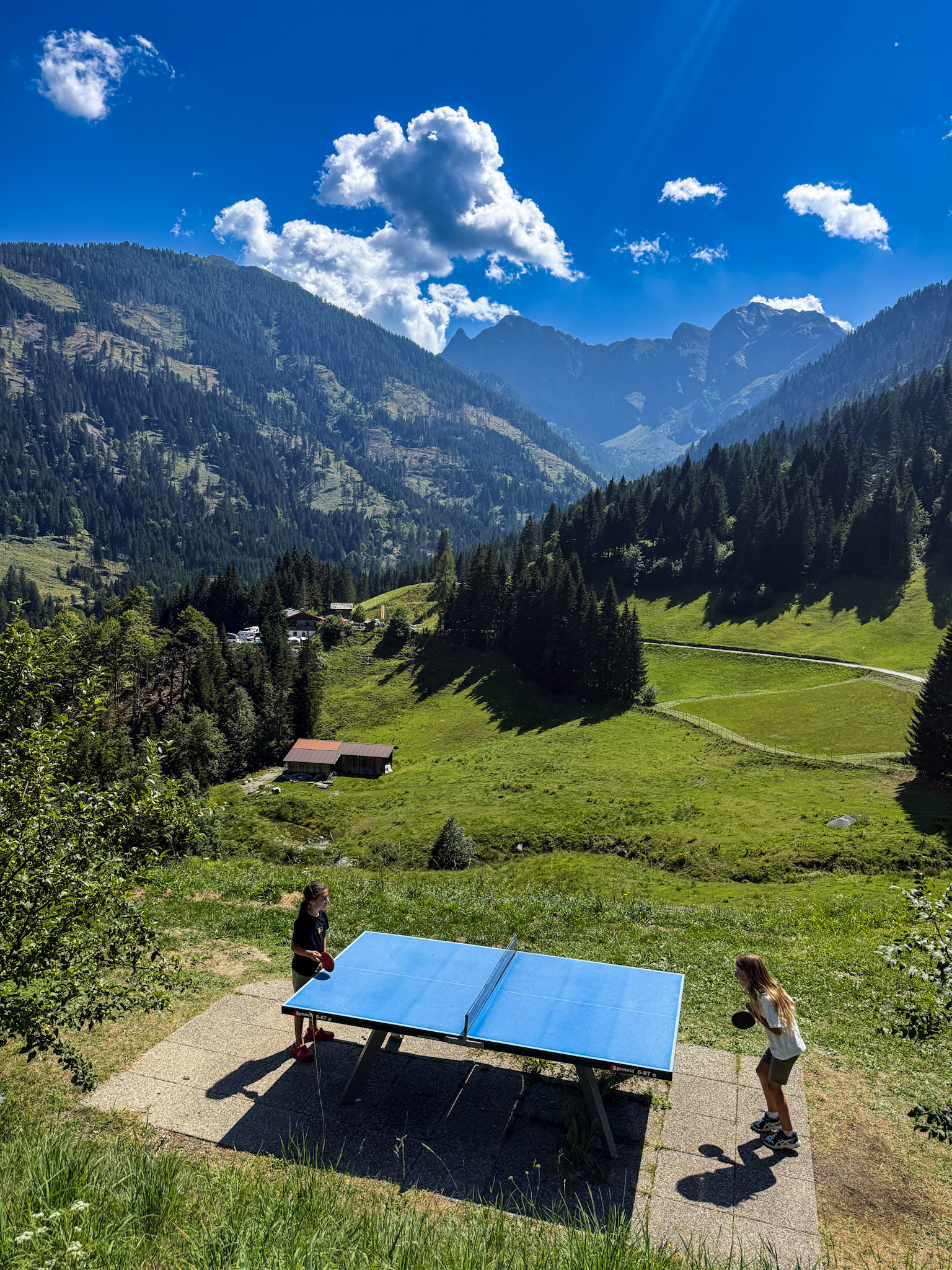 ping pong