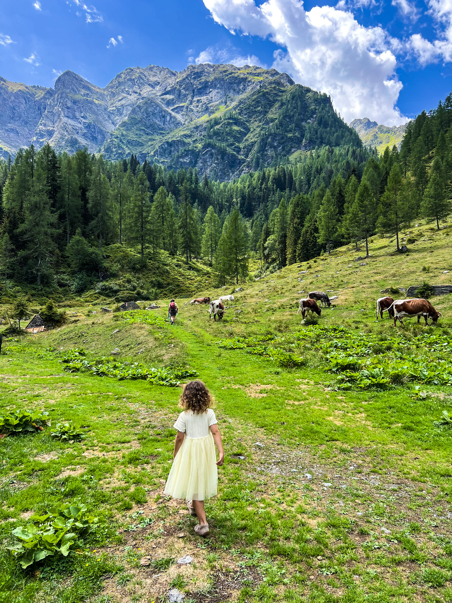 in the mountains