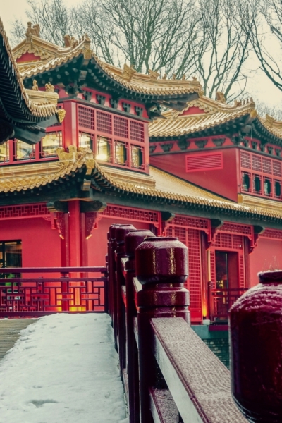 Mombarg Beton Pandasia Ouwehands Dierenpark Rhenen 1 small