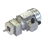 TB-521531
