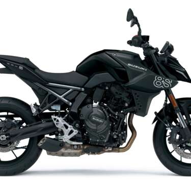 GSX800RQM6_KGL_rights