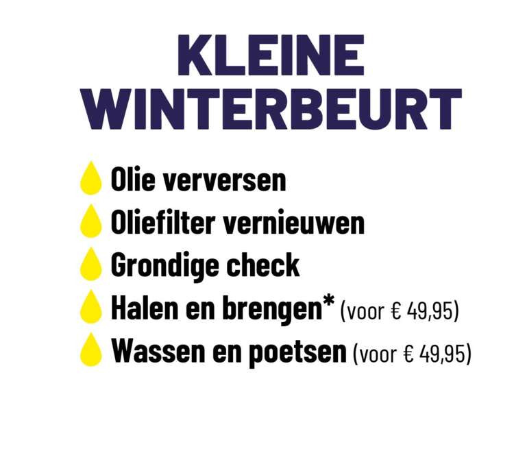 Kleine-winterbeurt