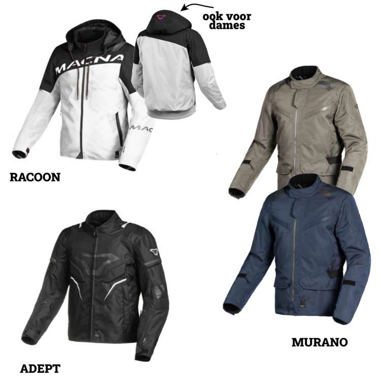 racoon adept murano