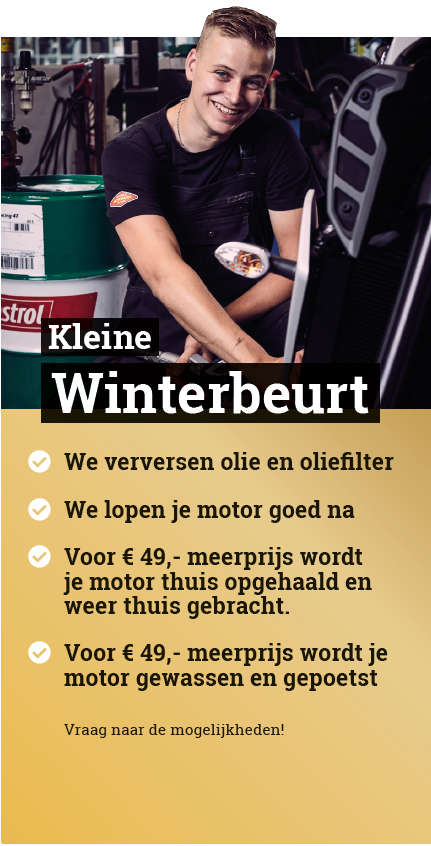 Kleine-Winterbeurt