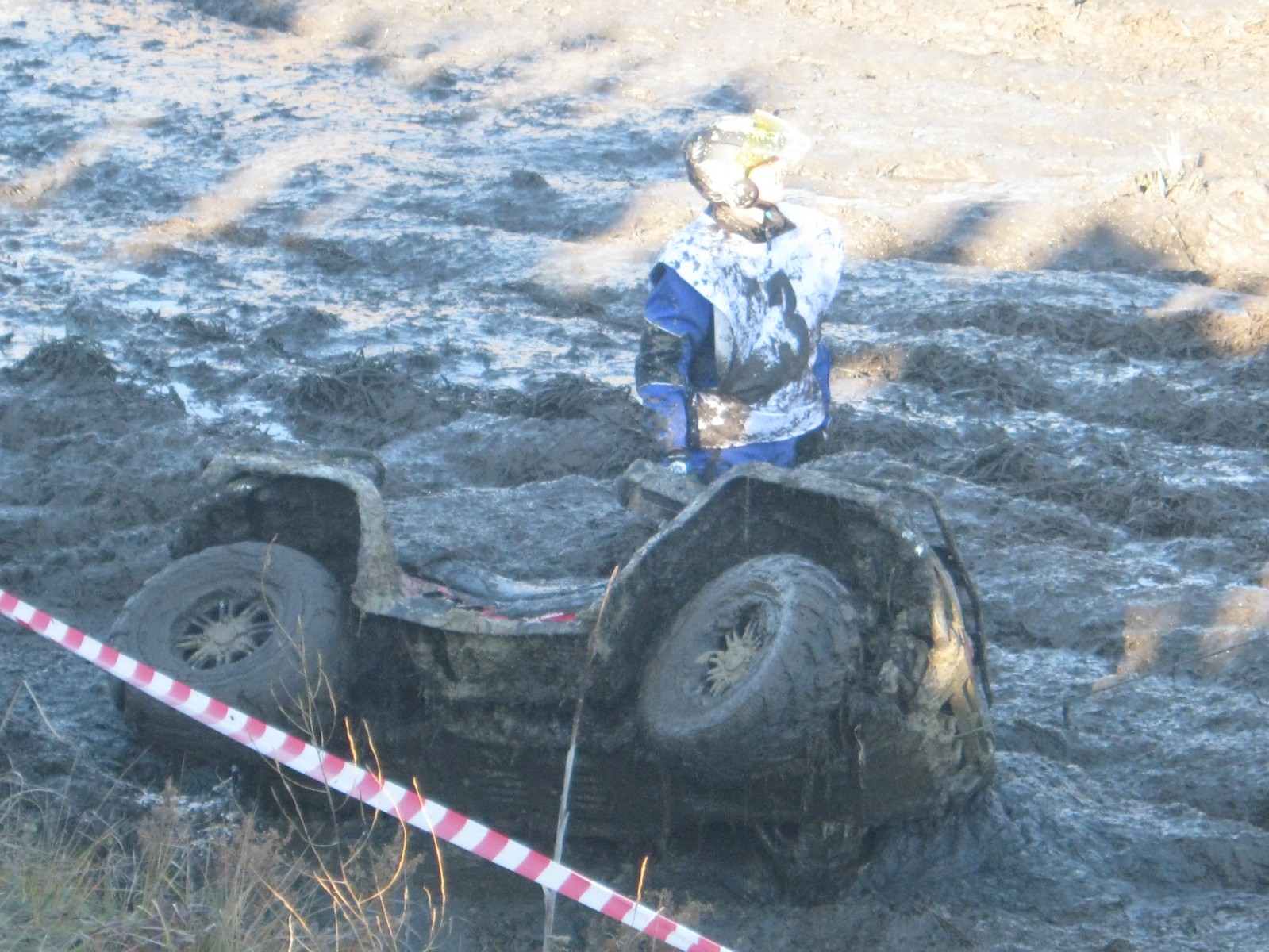 IMG 4556