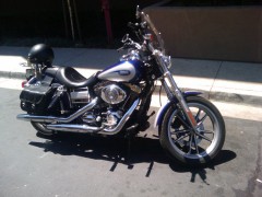Harley
