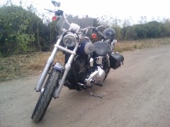 Harley 3