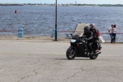 IMG 0231