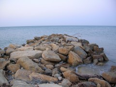 DSCN6195