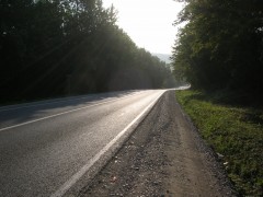 DSCN6216