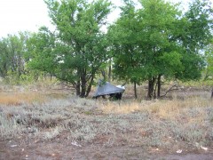 DSCN6245