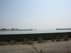DSCN6230