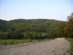 DSCN6205