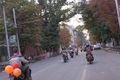 IMG 1079