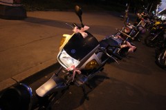 IMG_2971.JPG