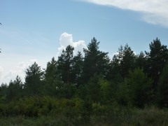 P1030174