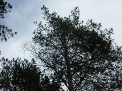 P1030173