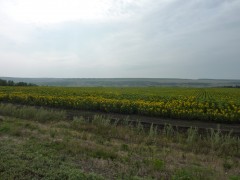 P1030144