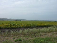 P1030143