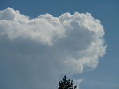P1030176