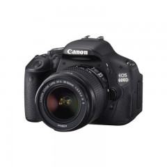 600d