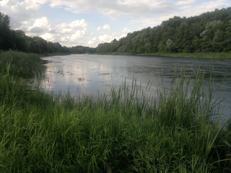 2012 хопер