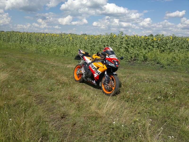 2012 Турки
