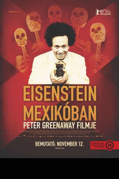 Eisenstein Mexikóban – Plakát