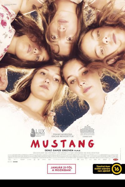 Mustang – Plakát