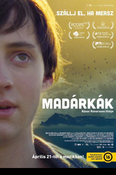 Madárkák – Plakát