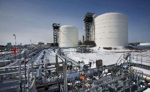 Цены БФА в США остаются стабильными на фоне дефицита предложения в Азии и роста стоимости грузоперевозок