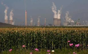 Фьючерсы ЛПНП в Китае упали на 3,4% вслед за понижением котировок сырой нефти