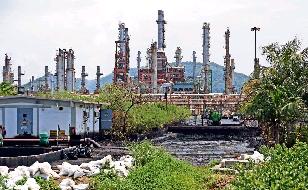 Татнефть вошла в проект по производству метионина