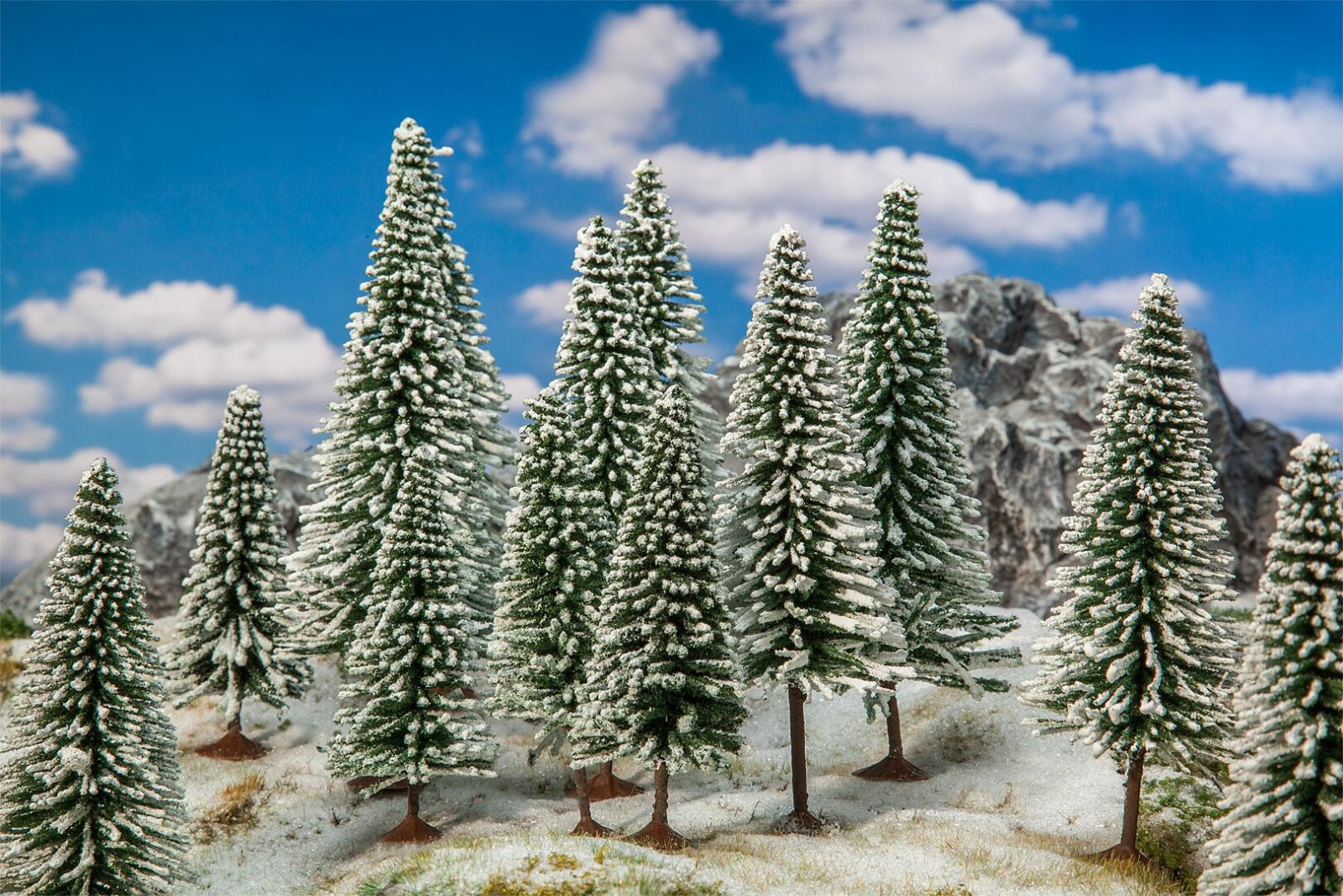 18 Winterdennen
