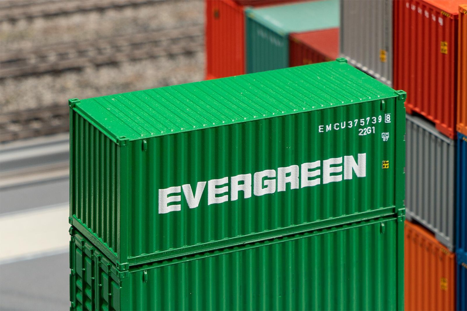 20' Container Evergreen