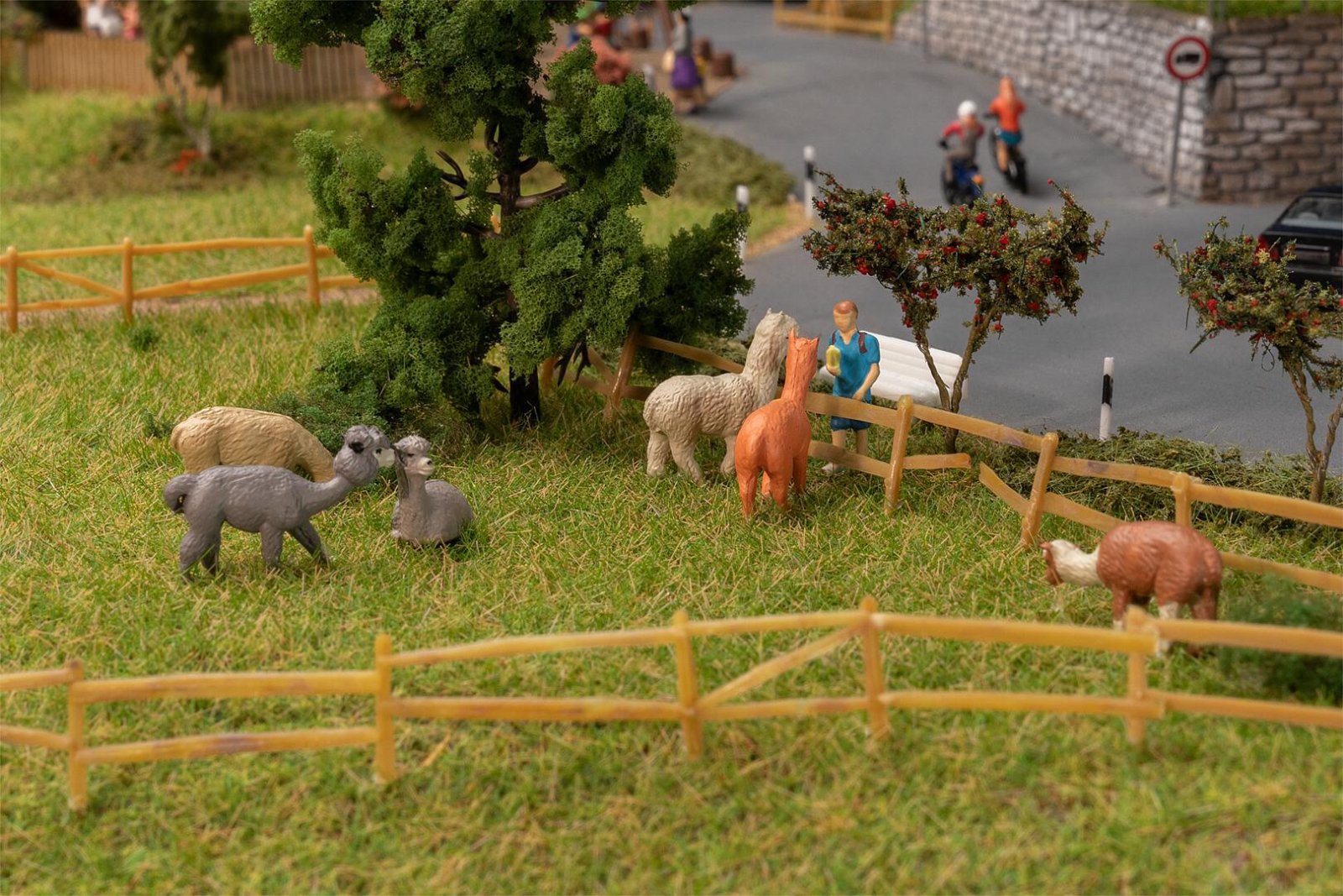 Alpaca's
