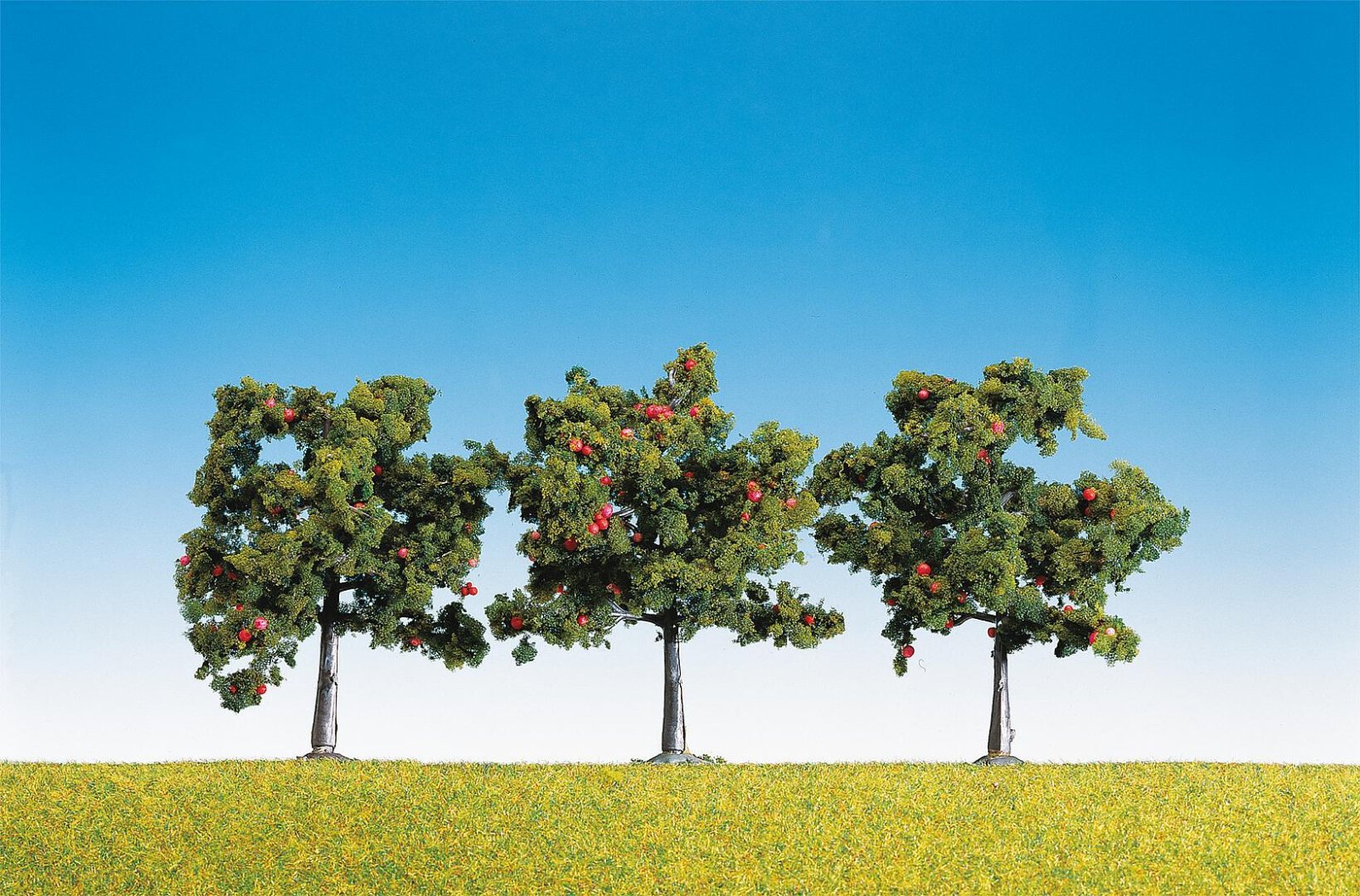 Appelbomen 3 Stuks