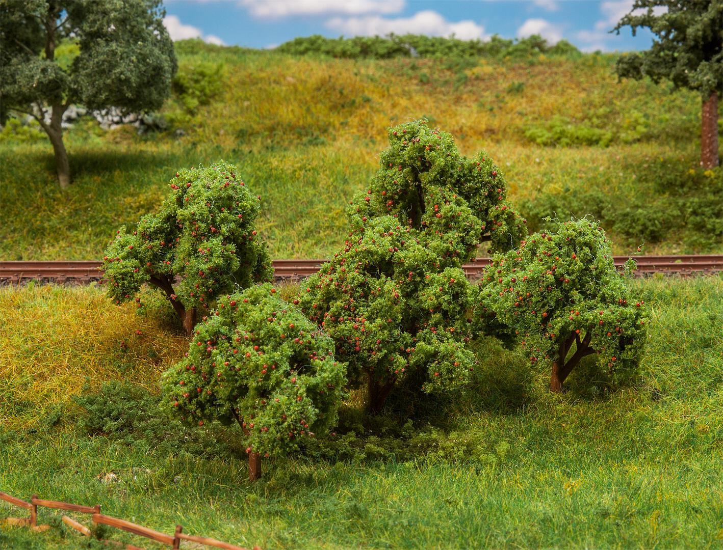 Appelbomen 5 Stuks