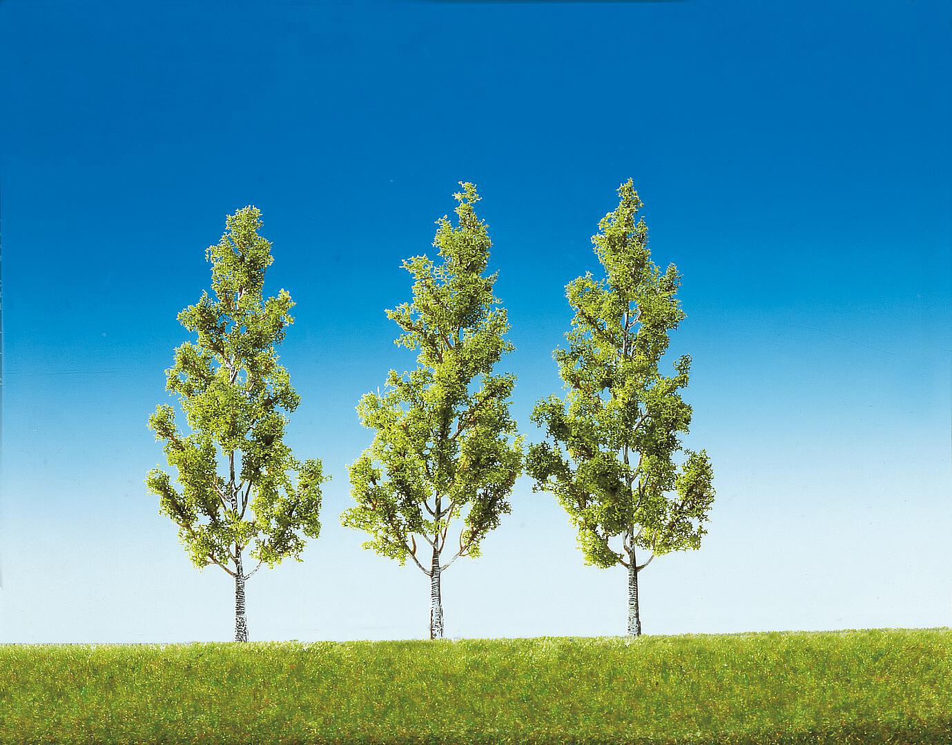Berken Top Serie 3 Stuks