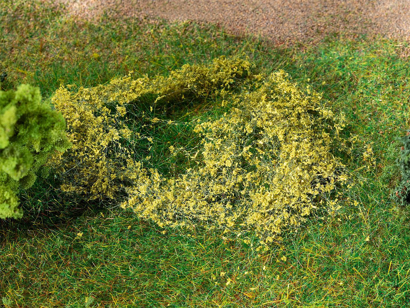 Bladfoliage Grasgroen