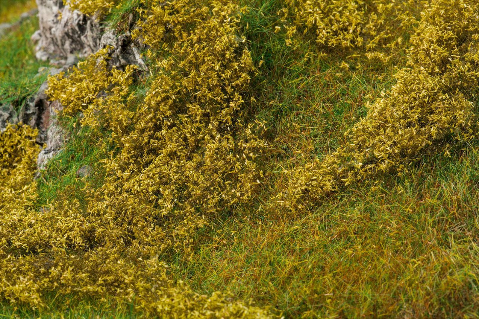 Bladfoliage Lichtgroen
