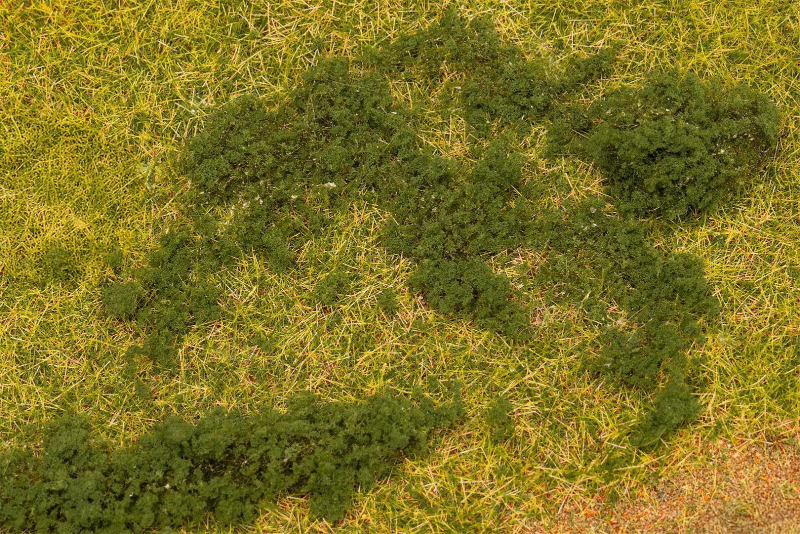 Blätterfoliage, Dunkelgrün